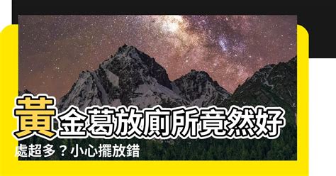 黃金葛放廁所